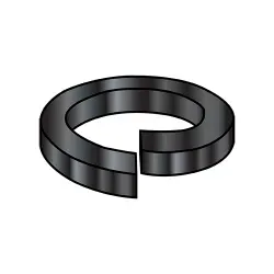 18-8 Black Oxide Medium (Regular) Split Lock Washer