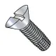 Thread Cutting Screw Type F Point